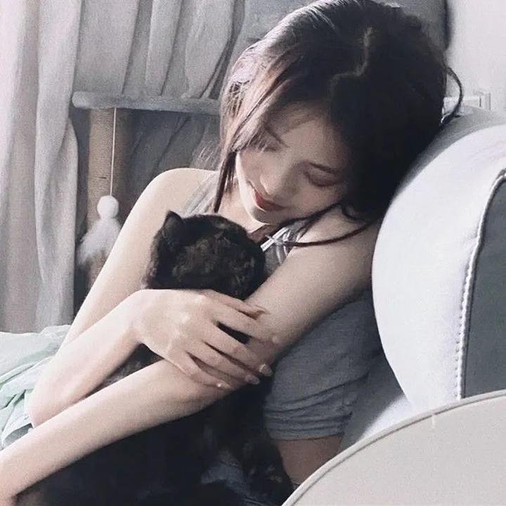 藤本树